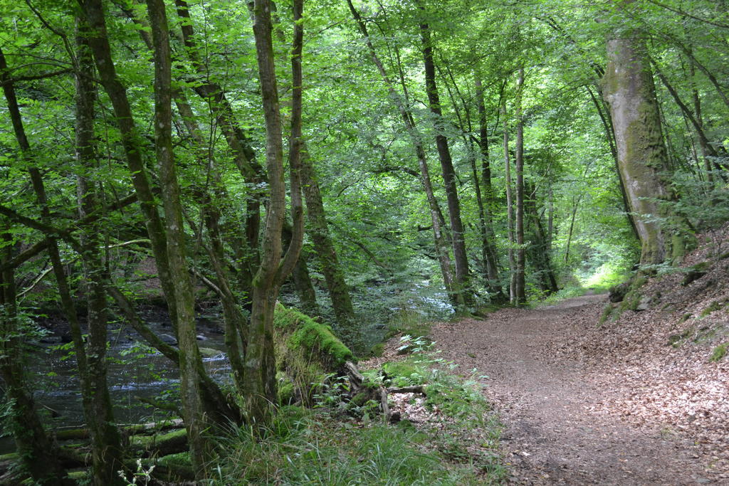 Gite La Clef Des Champs Libin الغرفة الصورة